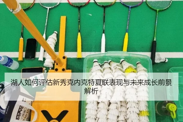 湖人如何评估新秀克内克特夏联表现与未来成长前景解析